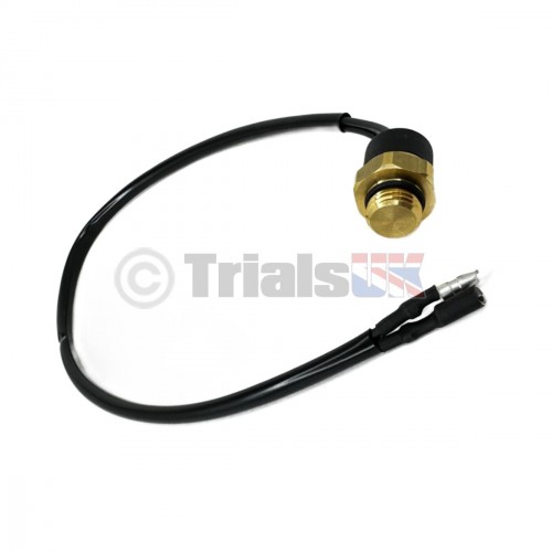 TRS Thermostat - Radiator Type - One/RR/Gold